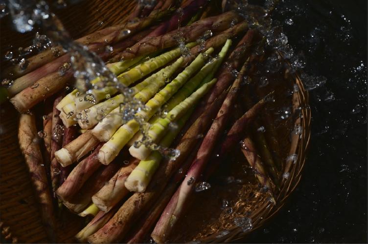 从原产地到好产品,看良品铺子凭好原料在零食品质化时代突围